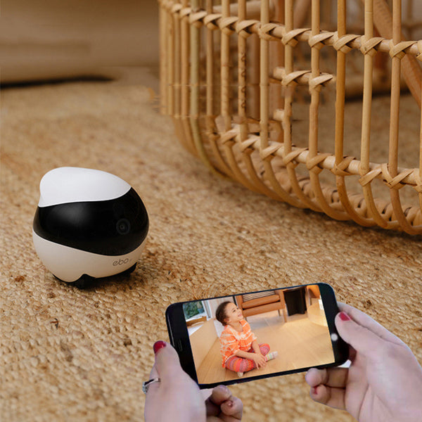 The Pet Home Mobile Robot with Monitoring Camera