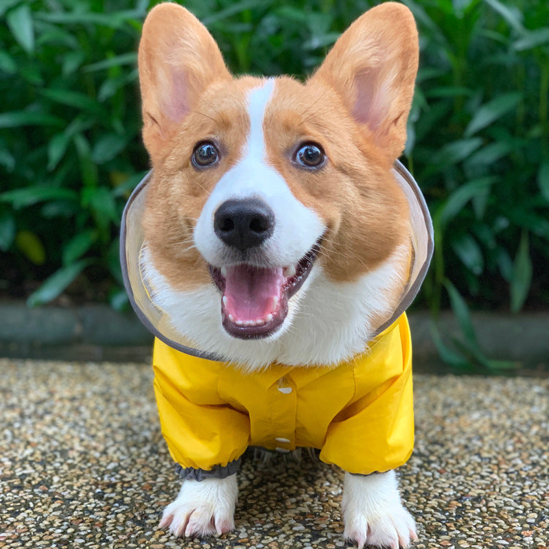 Four Legged Waterproof Pet Raincoat