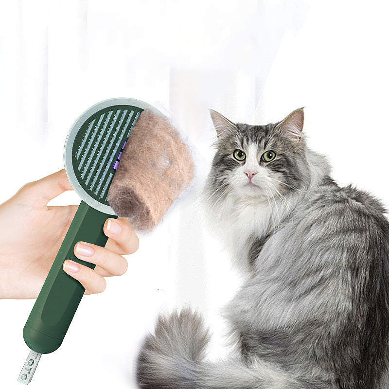 Hoopet 2-In-1 Pet Comb UVC Moss Detection Lamp and Hair Remover Brush