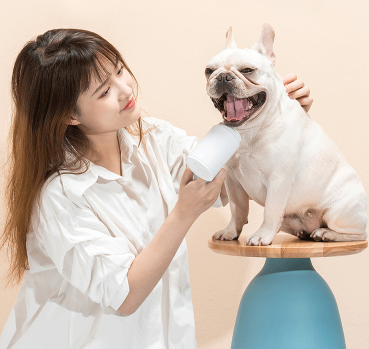 The Dog  electric massager comb