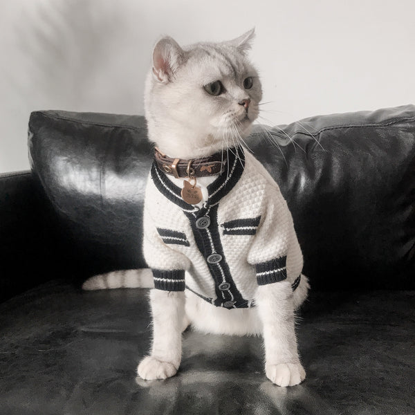 The Elegant Cat sweater