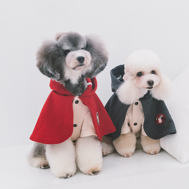 Stylish pet clothes