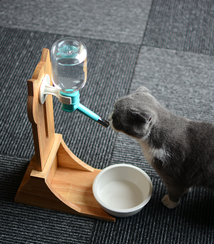 Cat Drinking Water Dispenser