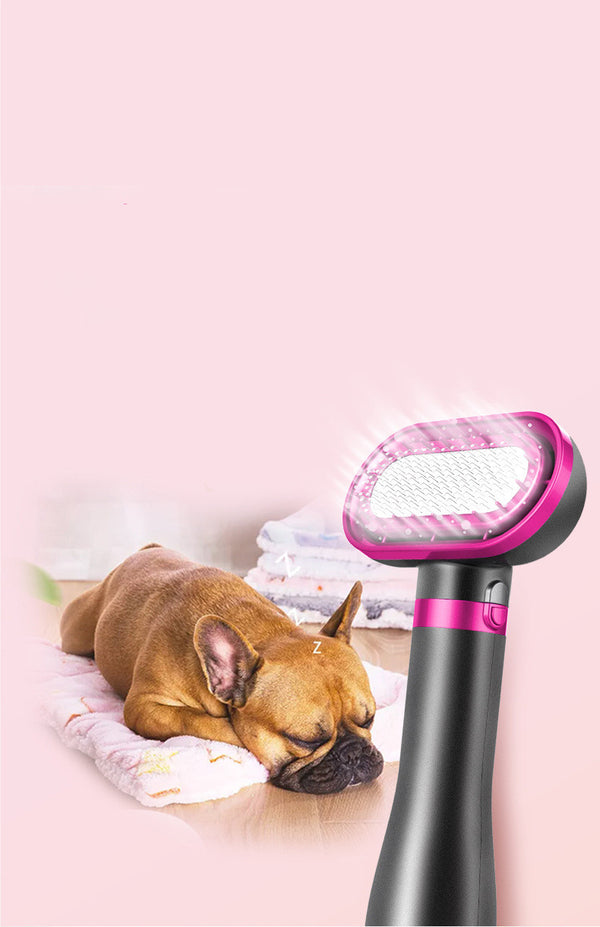 Household Professional Pet Hair Dryer With Hot Air Comb