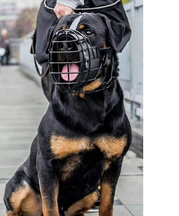 Tactical Mouth Cage Dog