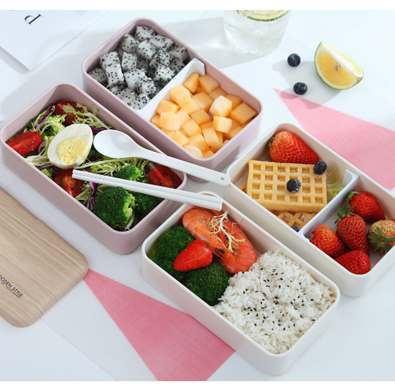 Japanese bento double separated lunch box