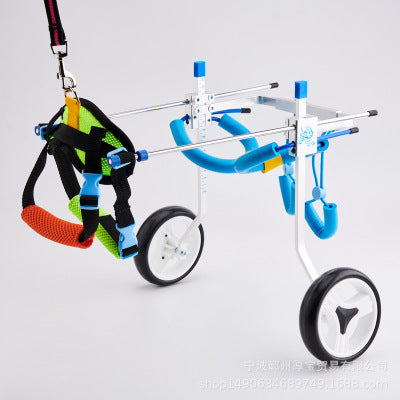 Scooter for small disabled dogs