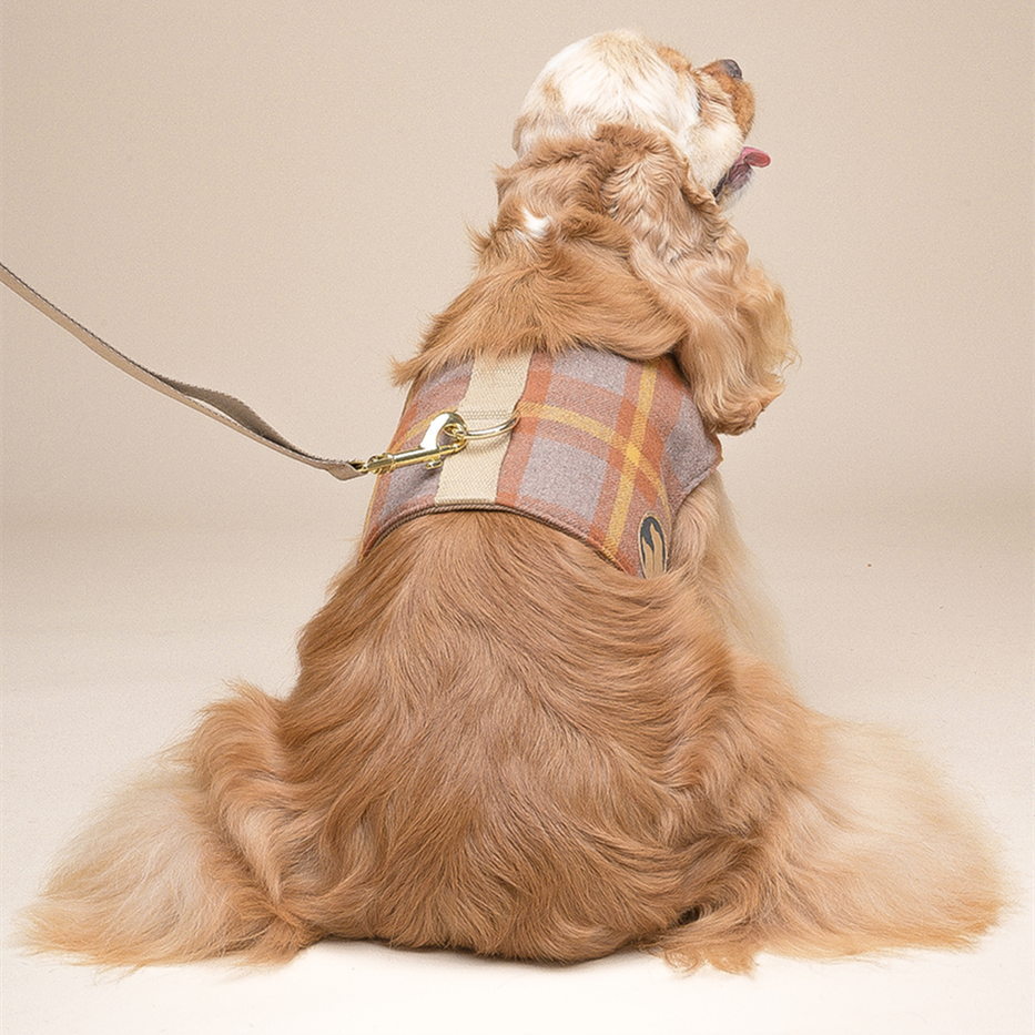 Dog Harness Vest Type Leash