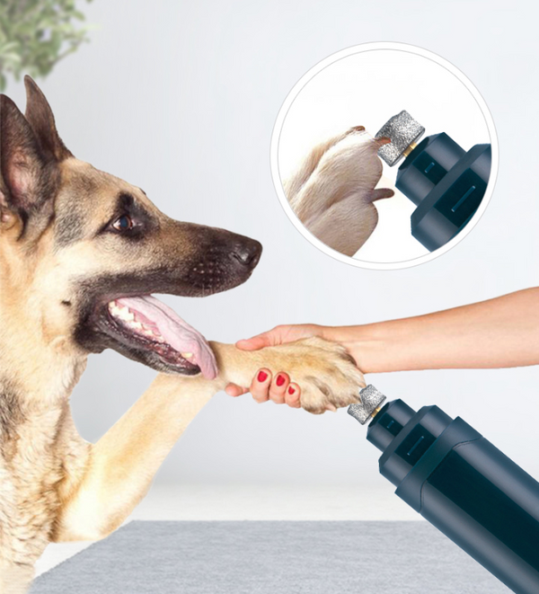 Ultra Performance Pet electric nail polisher