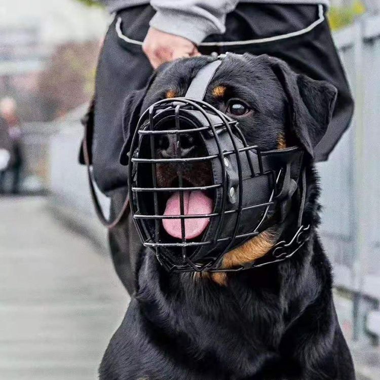 Tactical Mouth Cage Dog