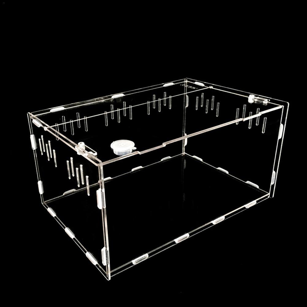 Reptile breeding box