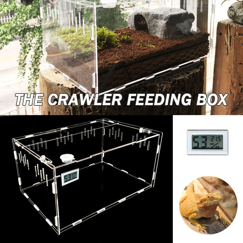 Reptile breeding box