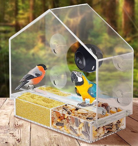 The Camera Live Bird Feeder