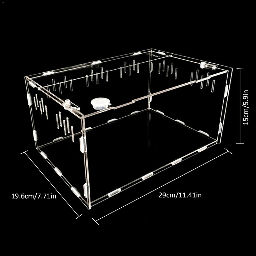 Reptile breeding box