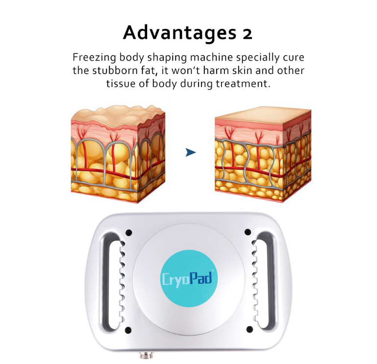 Portable Fat Removal Freezer