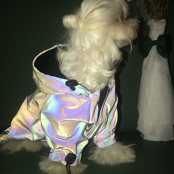 Fashion Windbreaker Reflective Hoodie Coat