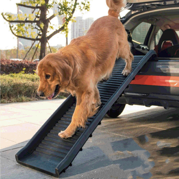 Pet Folding Ladder Slope