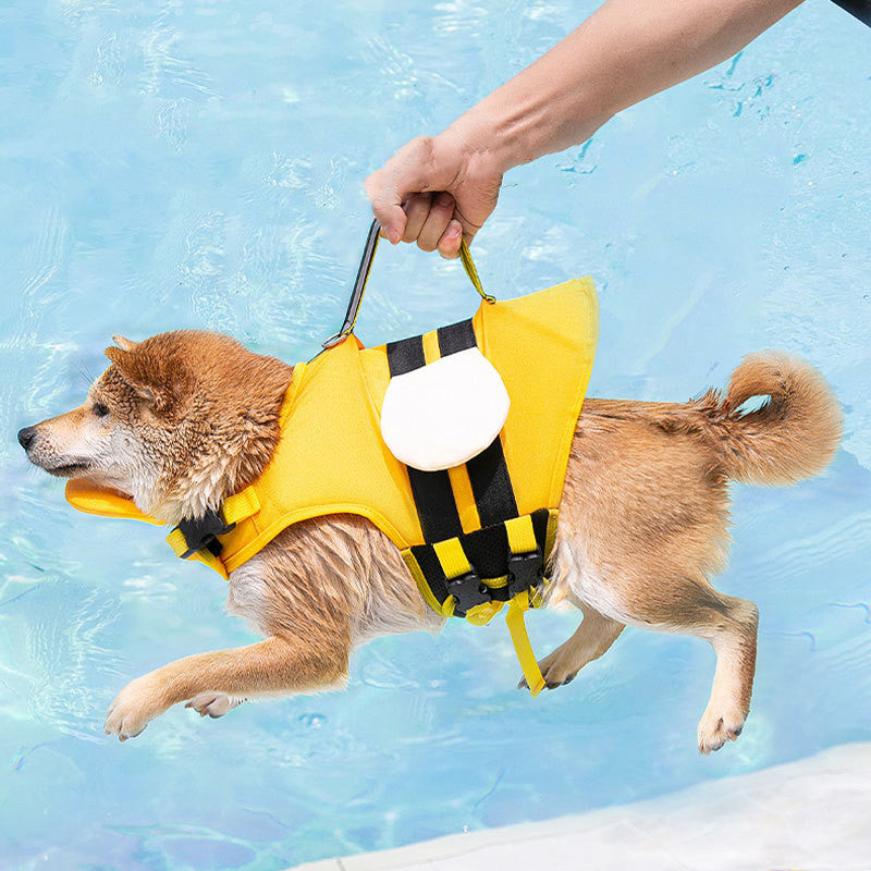 Cute Dog Life Jacket