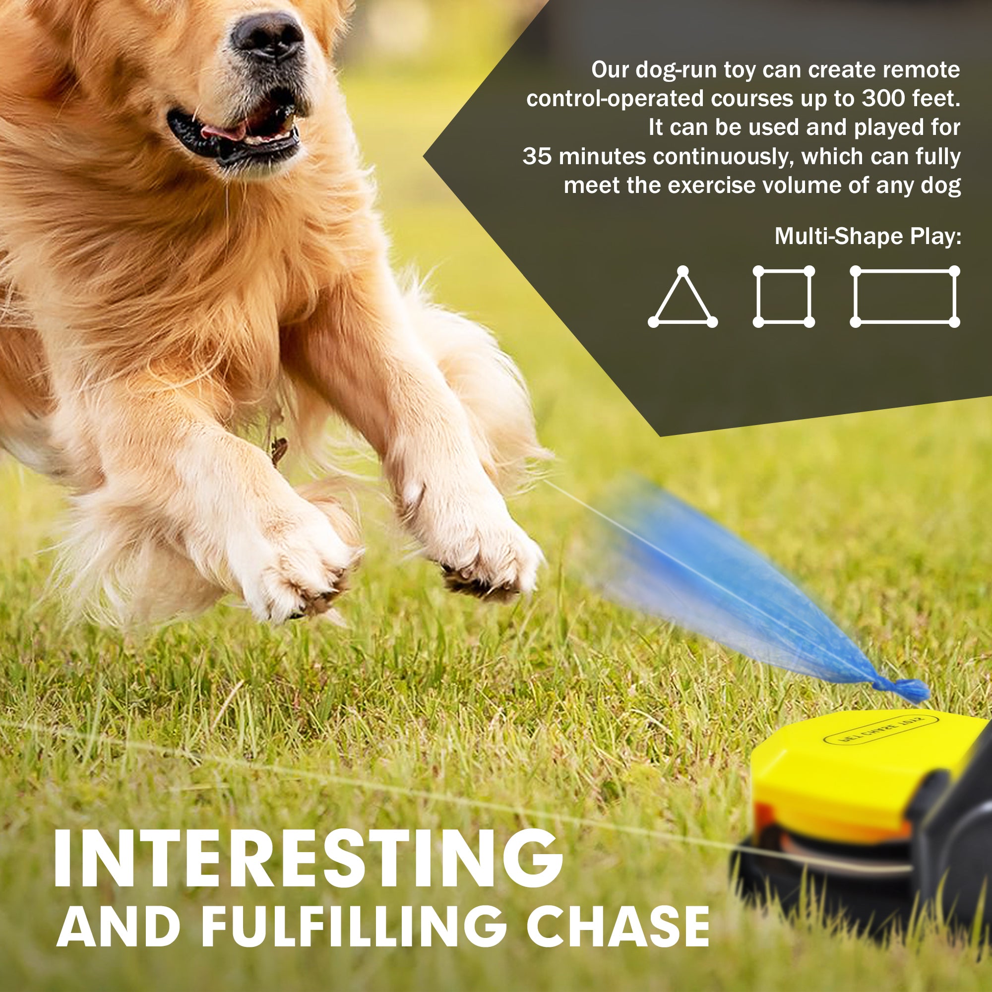 The Pet Fulfilling Chase Toys