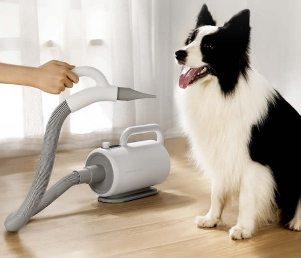 Intelligent Pet Water Blower