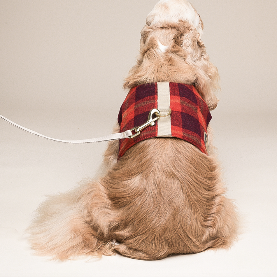 Dog Harness Vest Type Leash