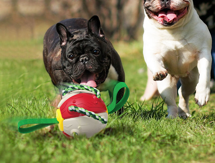 Football  Bite Resistant Dog Toy